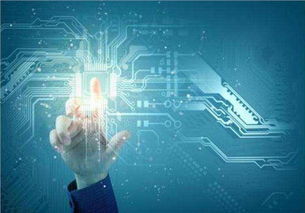 吳中區(qū)口碑佳、價格優(yōu)的系統(tǒng)開發(fā)與互聯(lián)網(wǎng)信息技術服務